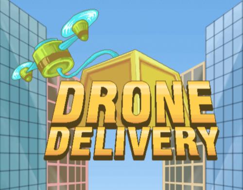  Drone Delivery